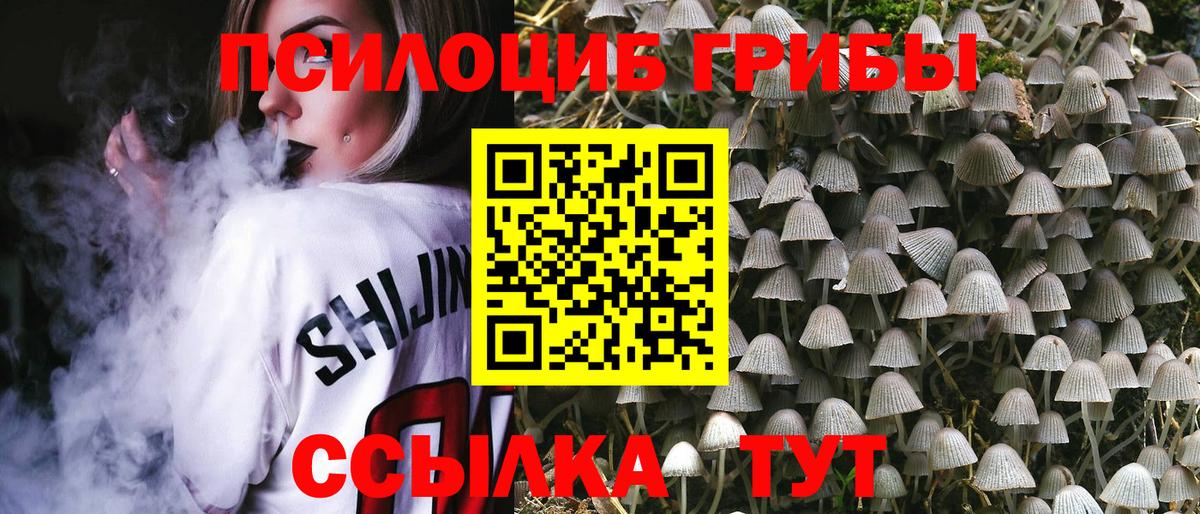 Галлюциногенные грибы Magic Shrooms Шелехов