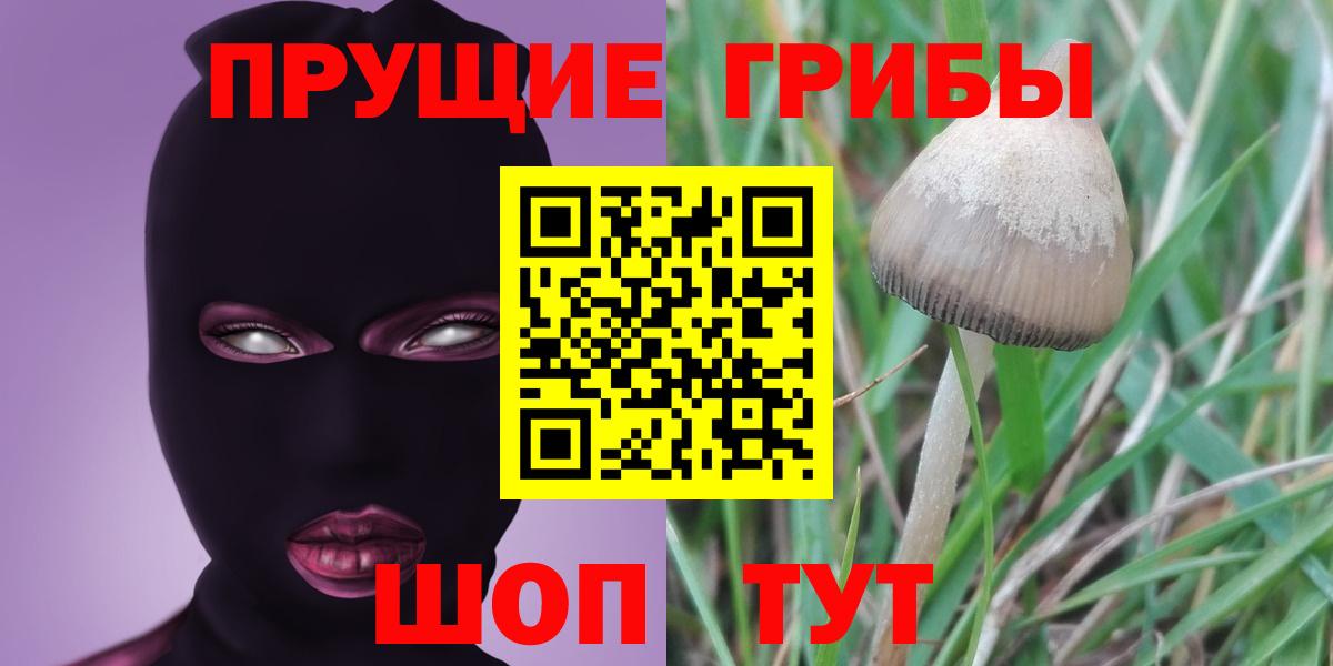 Псилоцибиновые грибы MAGIC MUSHROOMS  Вход с VPN  Шелехов 